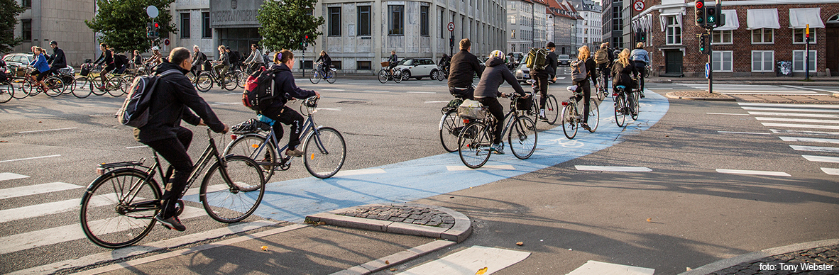 Realizzazione di un collegamento ciclopedonale attrezzato tra il centro urbano di Faenza e il quartiere di Granarolo