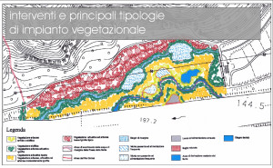 Adige - Rinaturalizzazione aree golenali